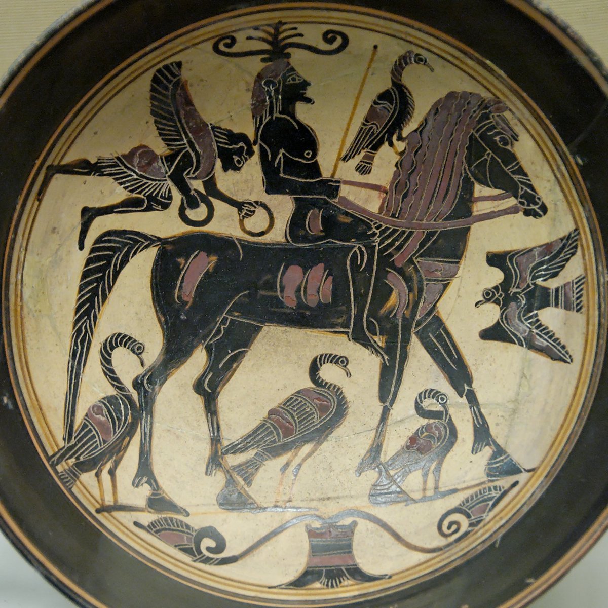 clasicasIEDA's tweet photo. Palabra del día: 
φίλιππος -ον (fílipos)
 'aficionado a los caballos' 
Griego, palabras para todo
Imagen: Caballero. Copa laconia de cerámica de figuras negras, c. 550-530 a. C. (Museo Británico). https://t.co/LnUx0TPERg