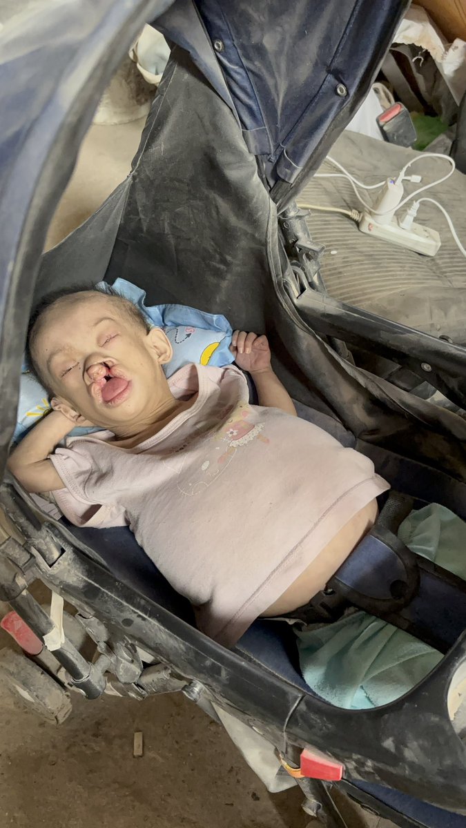 Plushies For Hope | Volunteer Group tweet media