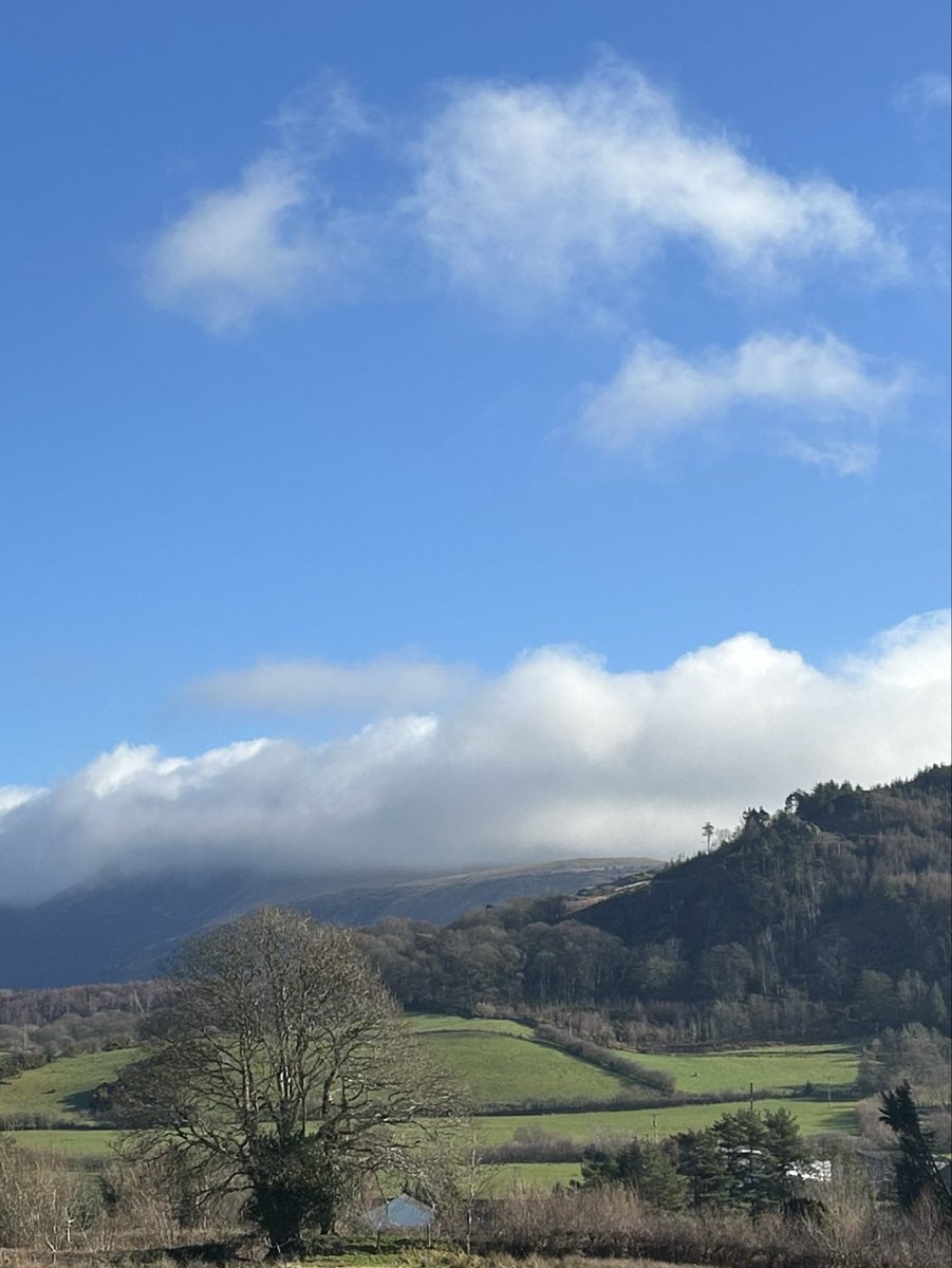 Ian Warren tweet media