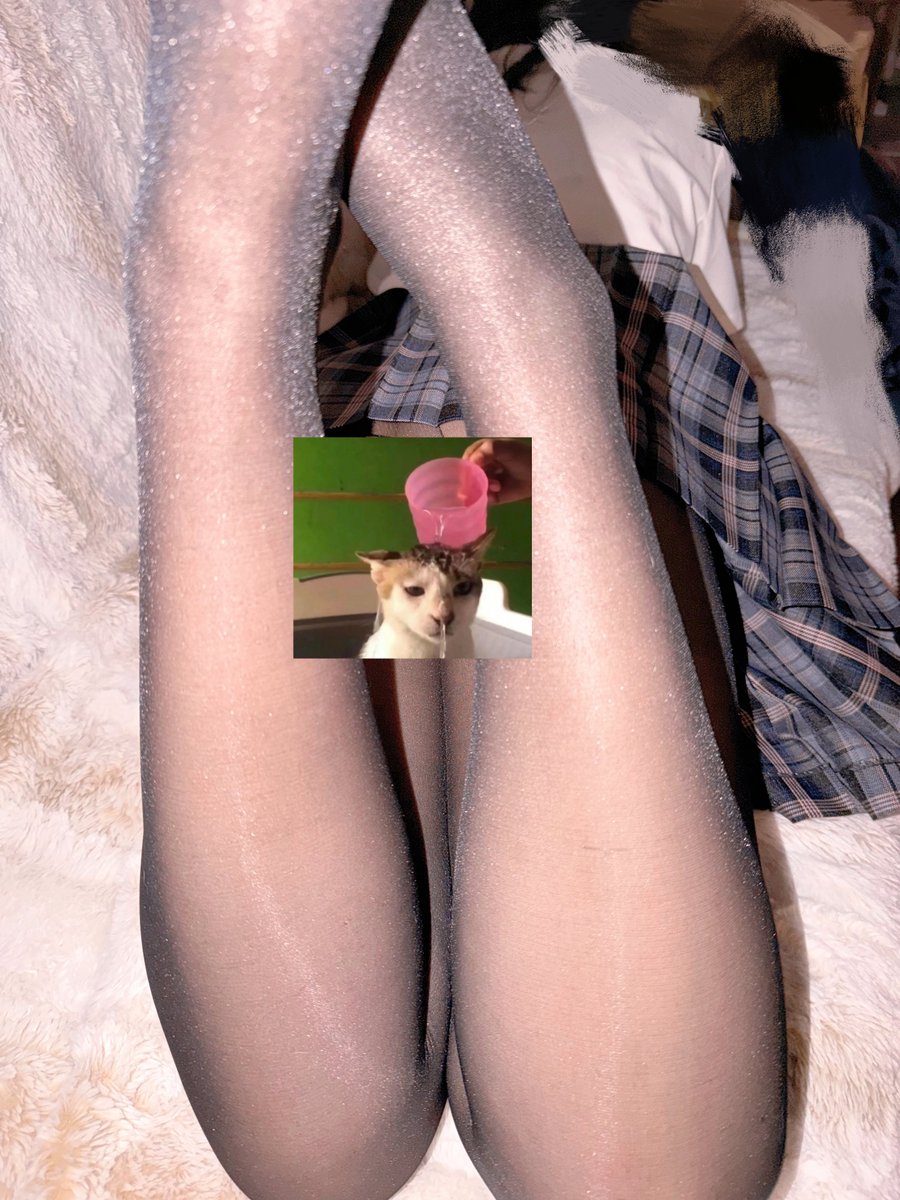 你的小菌 tweet media