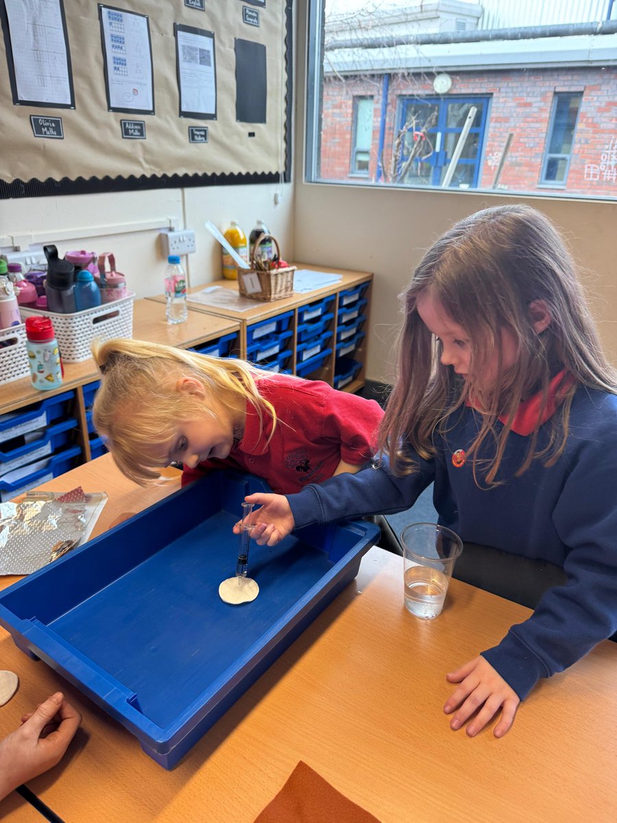 Stranton Primary School tweet media