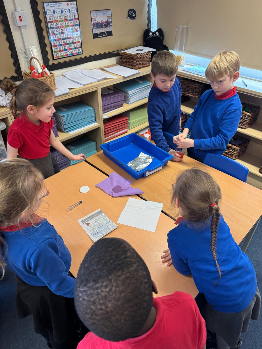 Stranton Primary School tweet media