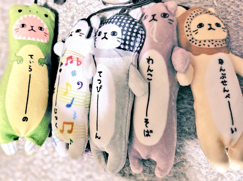 くうちゃん(📻️くうニャンニャン) tweet media