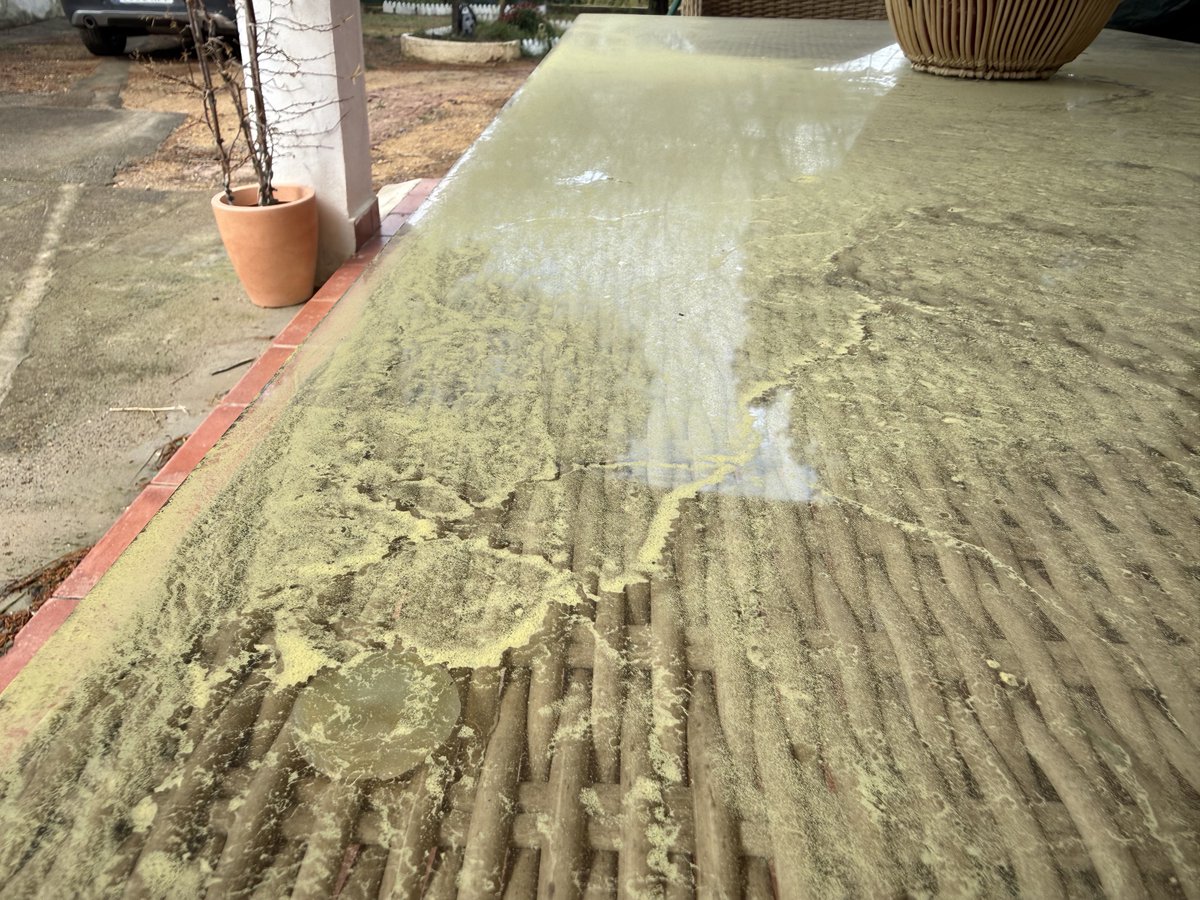 Minerva GG tweet media