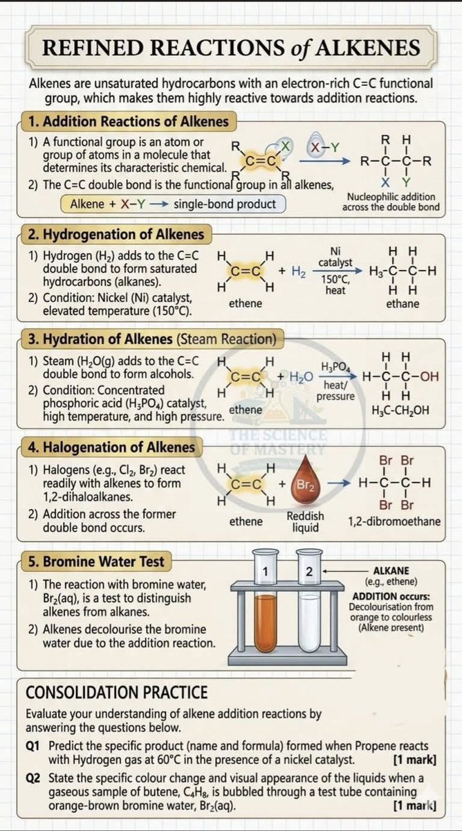 🧪👩🔬الآء tweet media