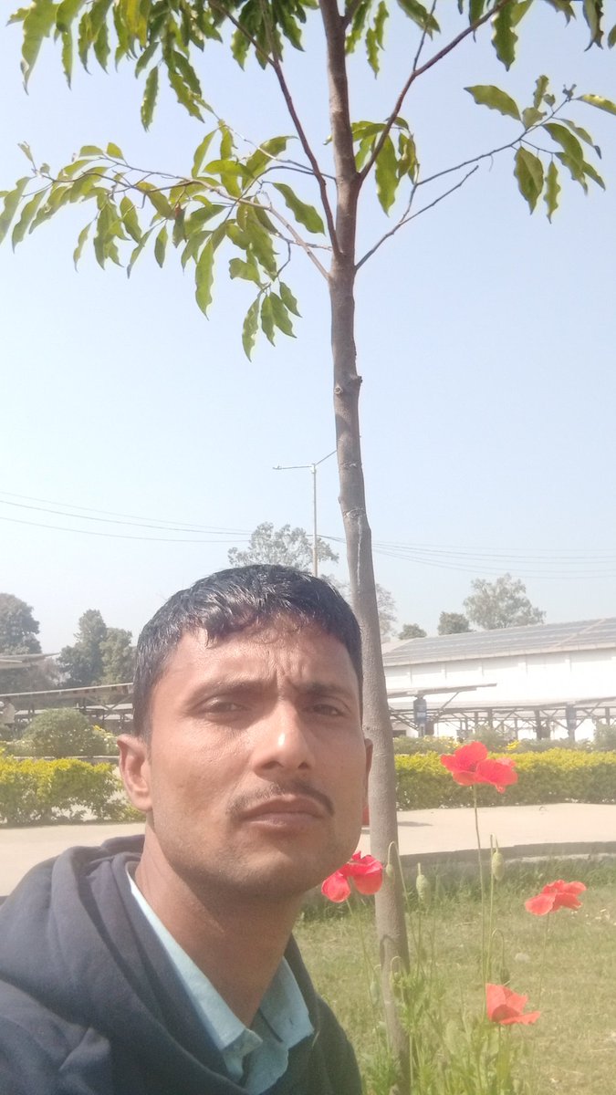 Pushpendra Kumar (@pushpen26567595) on Twitter photo 