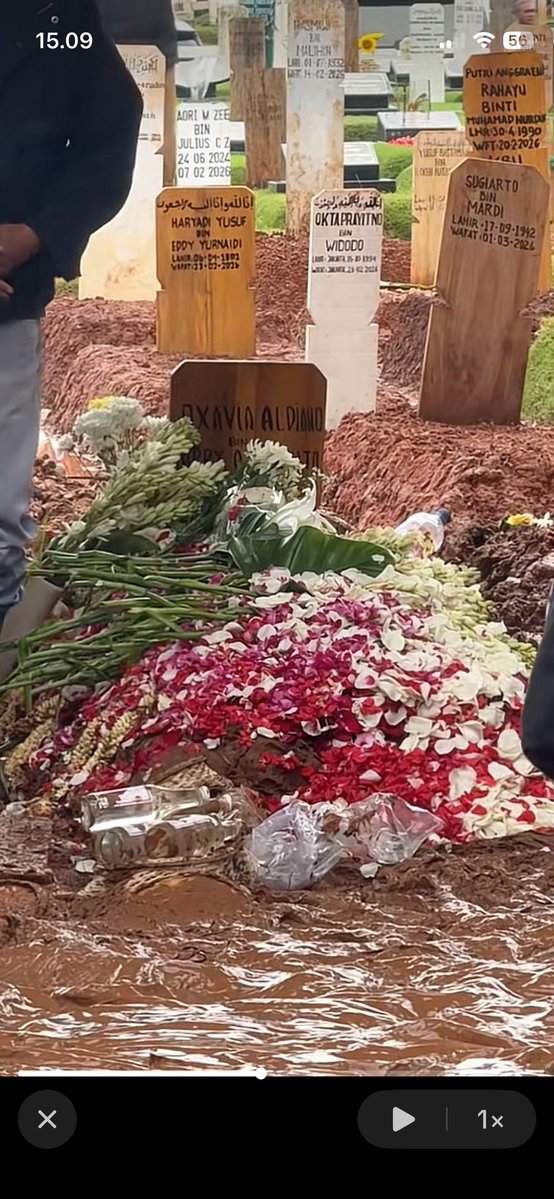 lengkuas tweet media