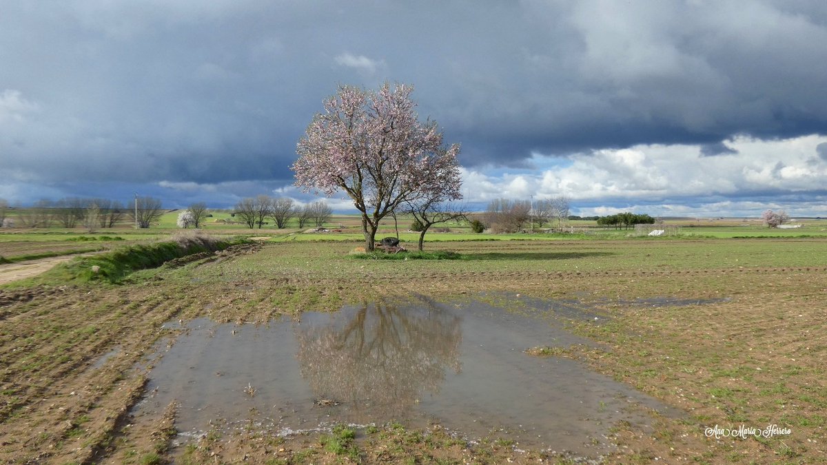 Ana María Herrero tweet media