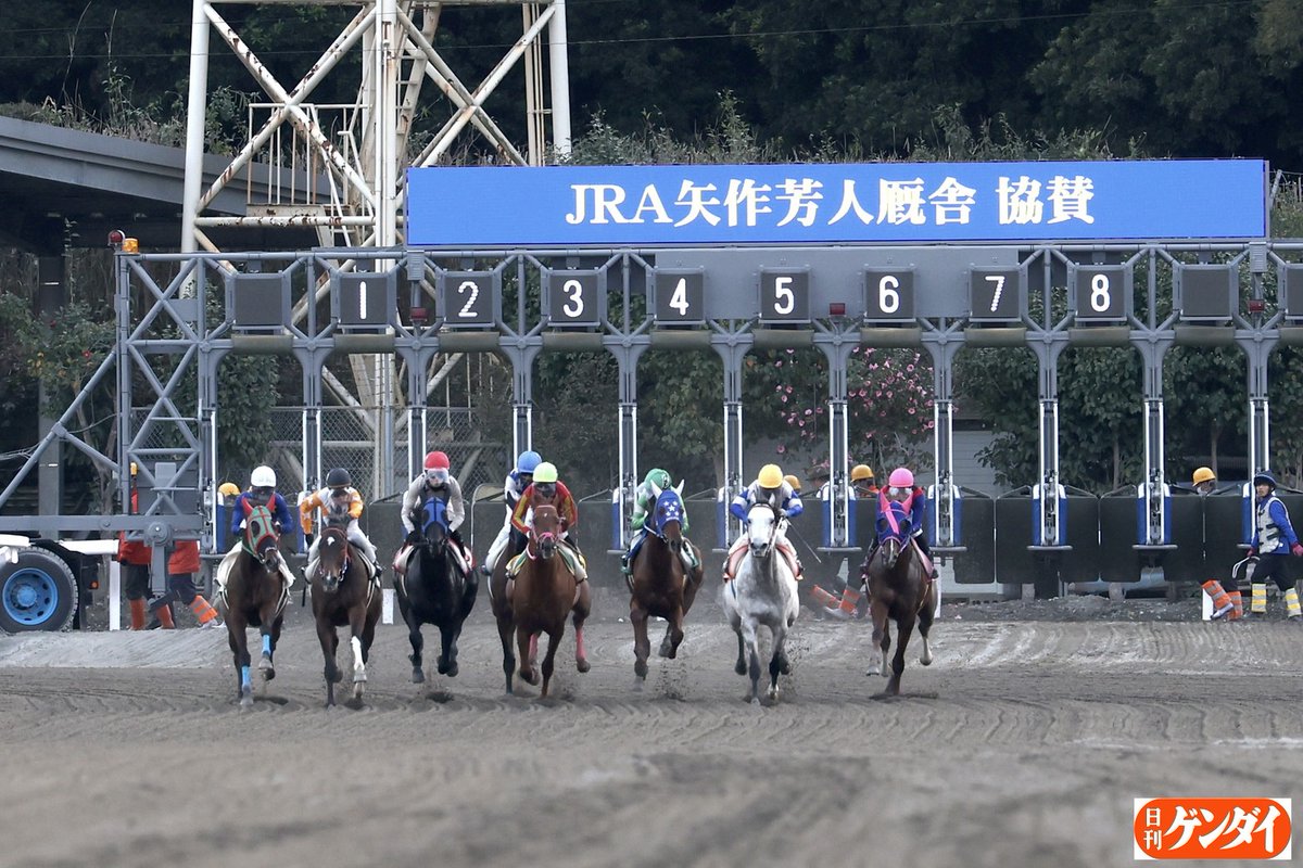 ボス〟登場です。 高知競馬に遠征していた弊紙カメラ氏より。 本日の