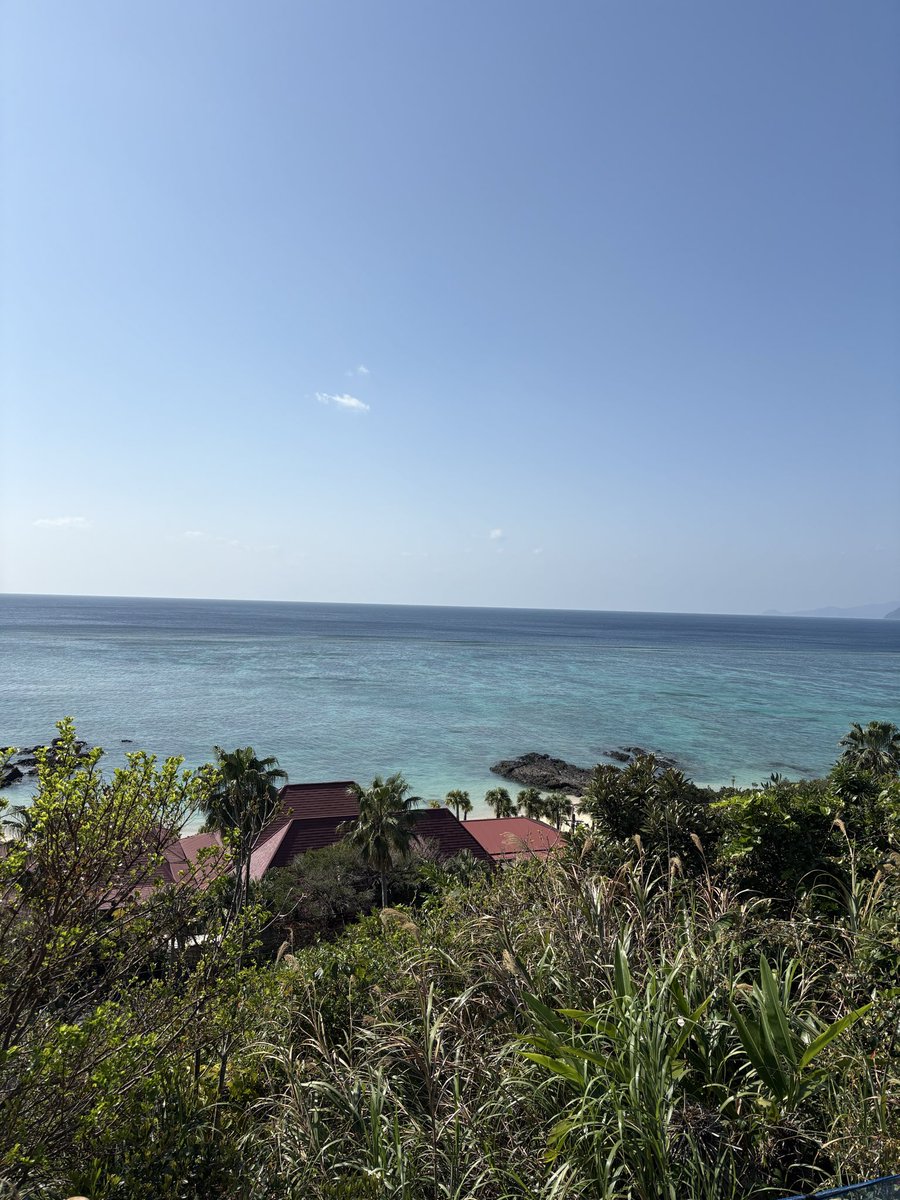 小松一也（KAZ） tweet media