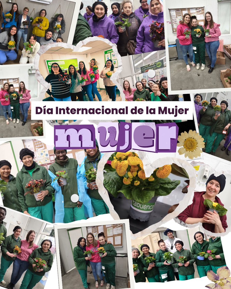 Tabuenca Verduras tweet media