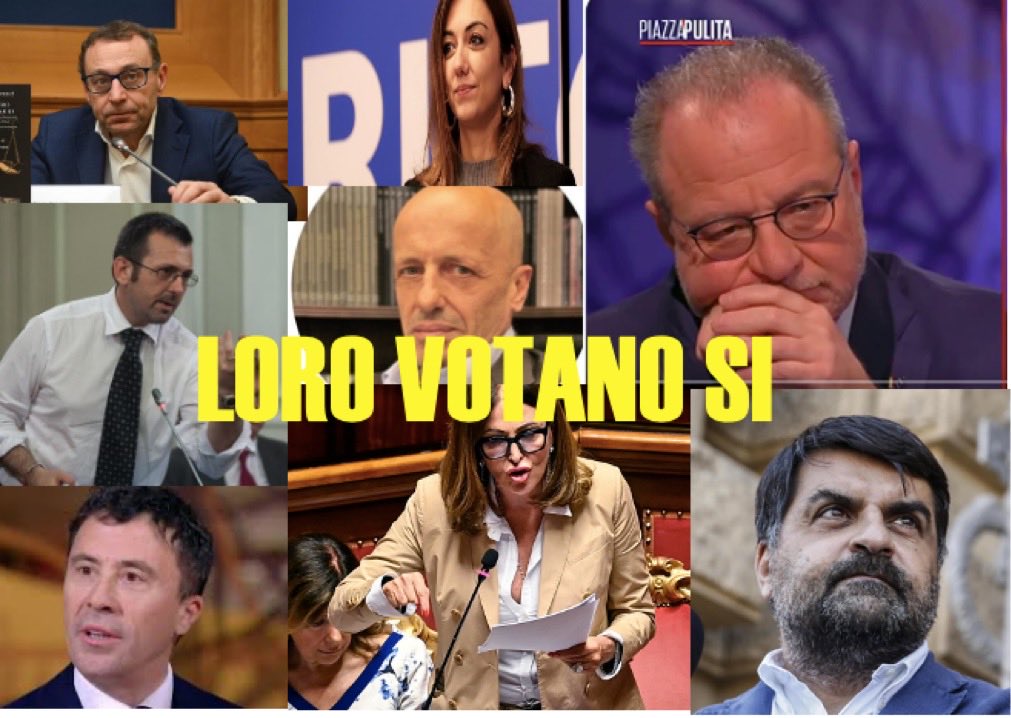 Caterina tweet media