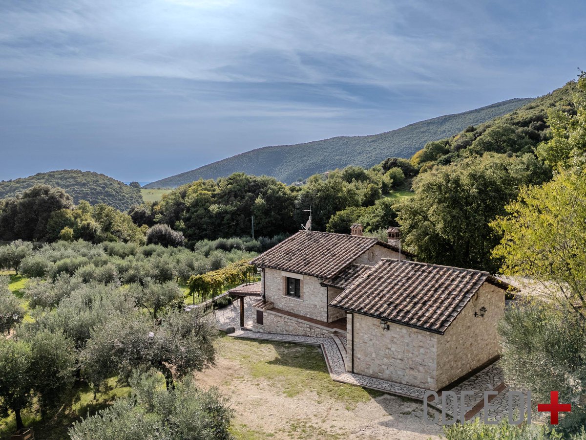 5.2 acres of land in Italy, a working olive grove that produces oil, private woodland, a renovated stone farmhouse and an 80m² cellar. €260k ($300k).

A lot of people are rethinking where they live and how they live. This is what that looks like in practice.

A courtyard with a