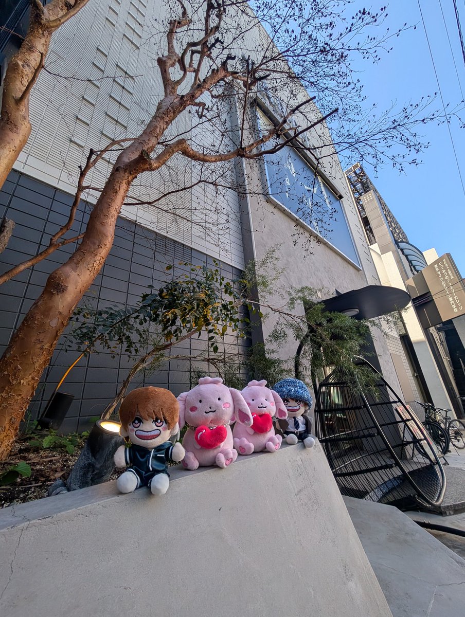 SUNNY_Taisei's tweet photo. #TARGETSHIBUYA
#キックボクシング
最後めっさ痛そうやったけど
かっこいい大晴くん
見せてくれて
ありがとうございます🥊
#福本大晴
#大晴ちゅーぶ
https://t.co/mZZ5oZtLXk https://t.co/xlgqTns58v
