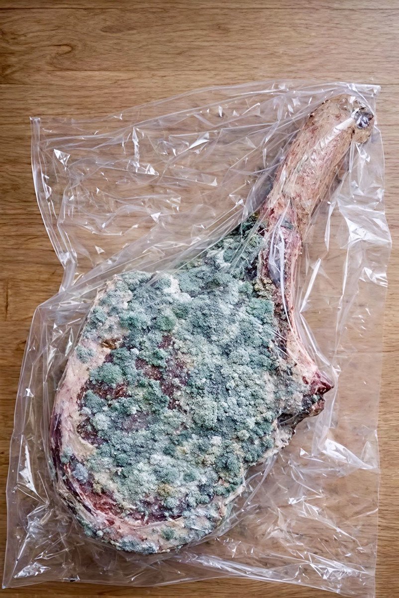 pulpo404 tweet media