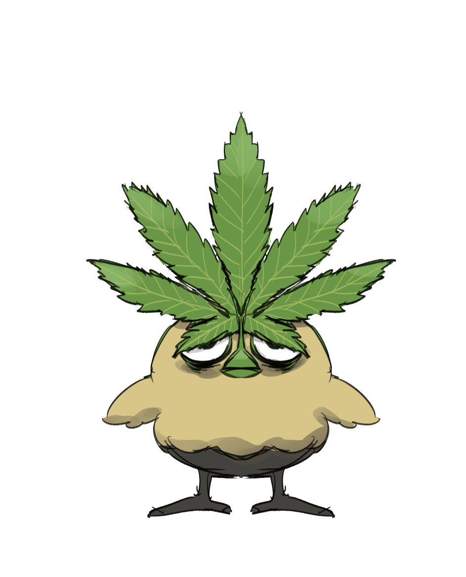 違法所持タイプ 