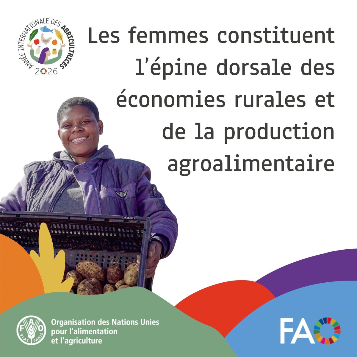 FAO Guinée tweet media