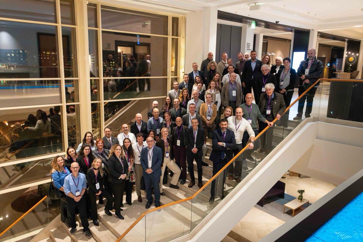 מיטל יסעור tweet media