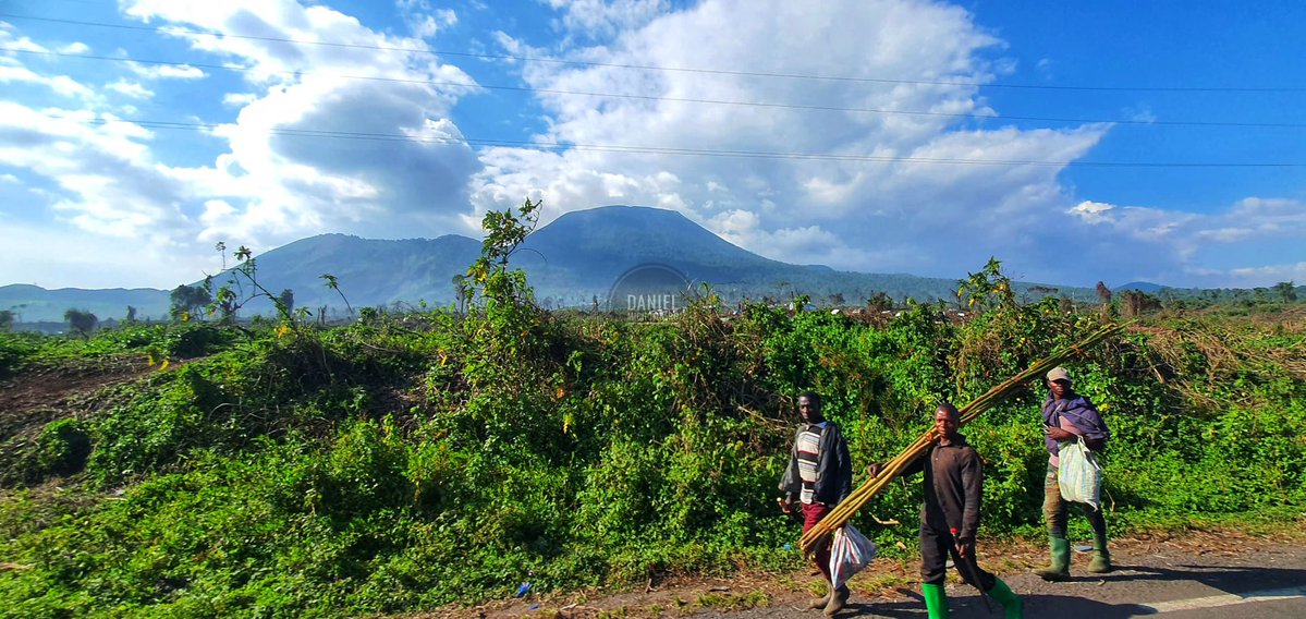 michombero's tweet image. #Goma : forte détonation ce dimanche au nord de la ville, voici les raisons 

Aucun affrontement n’a été signalé dans le parc national de Virunga ni dans la localité de Mutaho ce dimanche 8 mars. Selon des sources locales et les patrouilles sur le terrain indiquent les