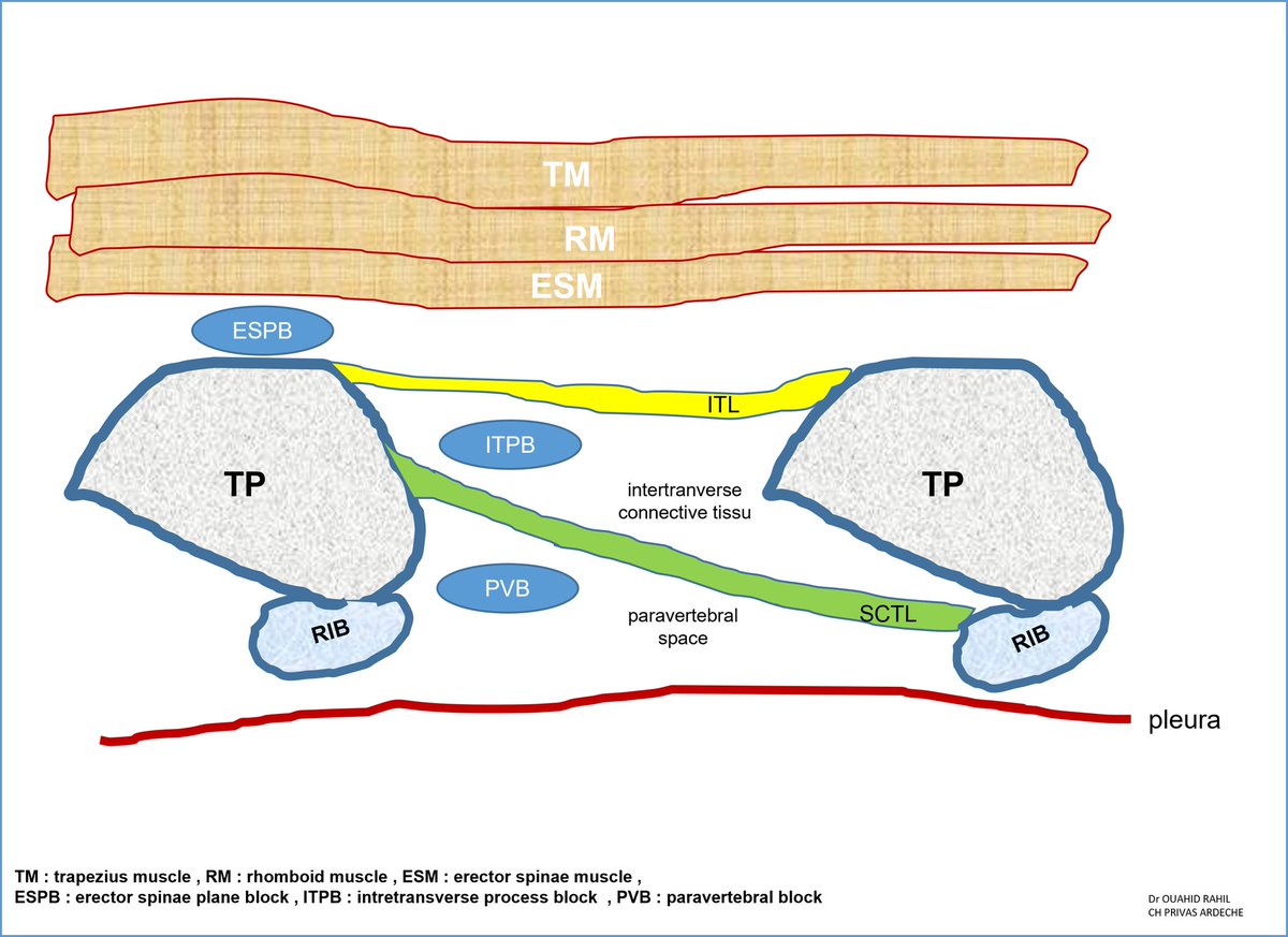 Rahil Ouahid tweet media