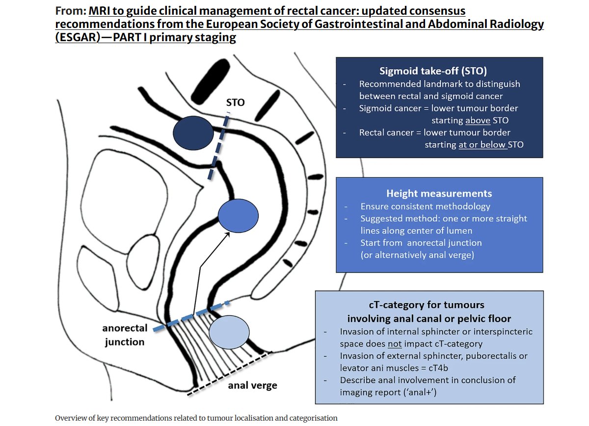 Salvador Pedraza tweet media