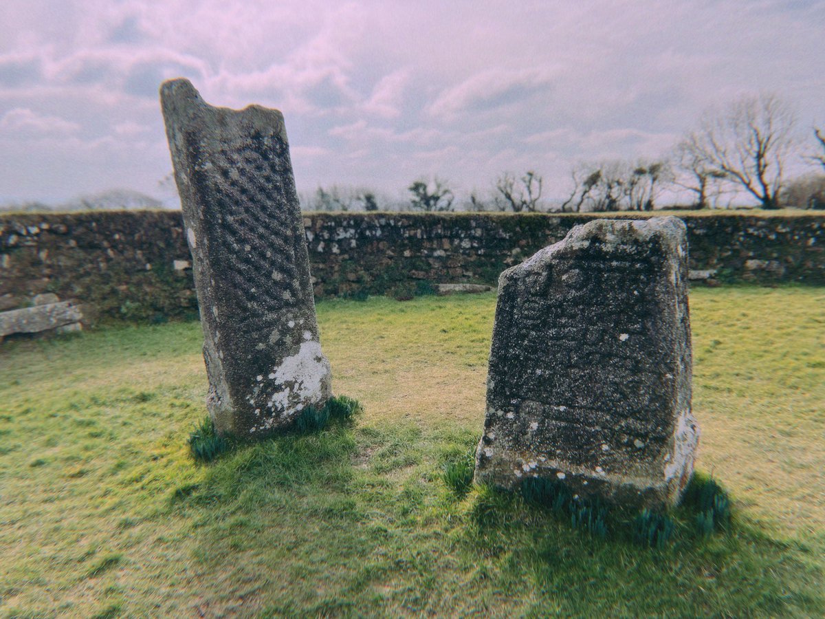 Stone Club tweet media