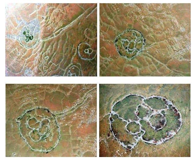 Prophetic Xenophobe tweet media