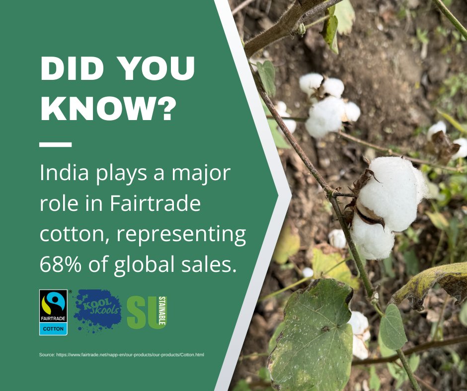 KoolSkools tweet media