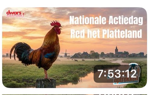 Marianne Zwagerman 💟☮️ tweet media