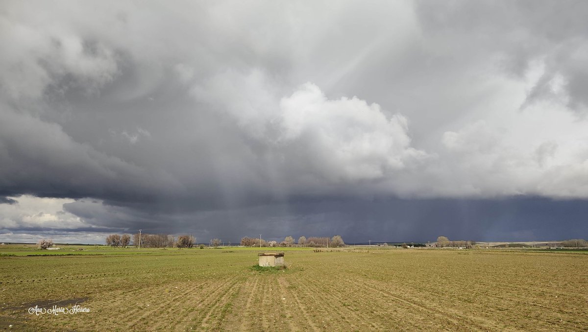 Ana María Herrero tweet media
