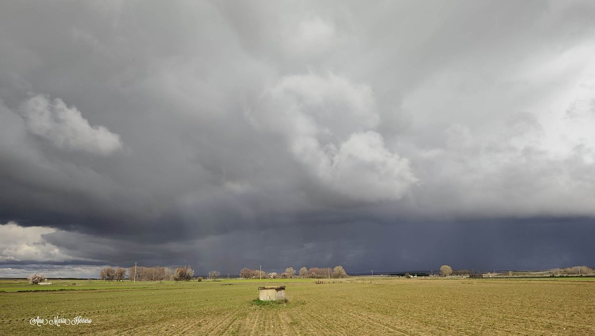 Ana María Herrero tweet media