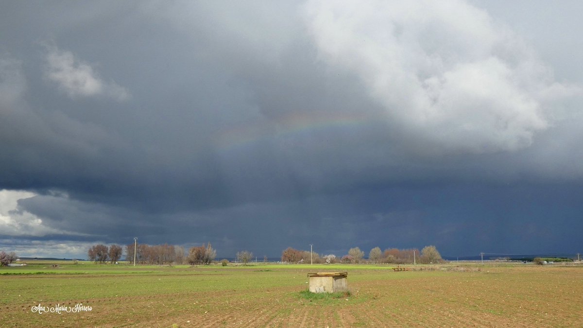 Ana María Herrero tweet media
