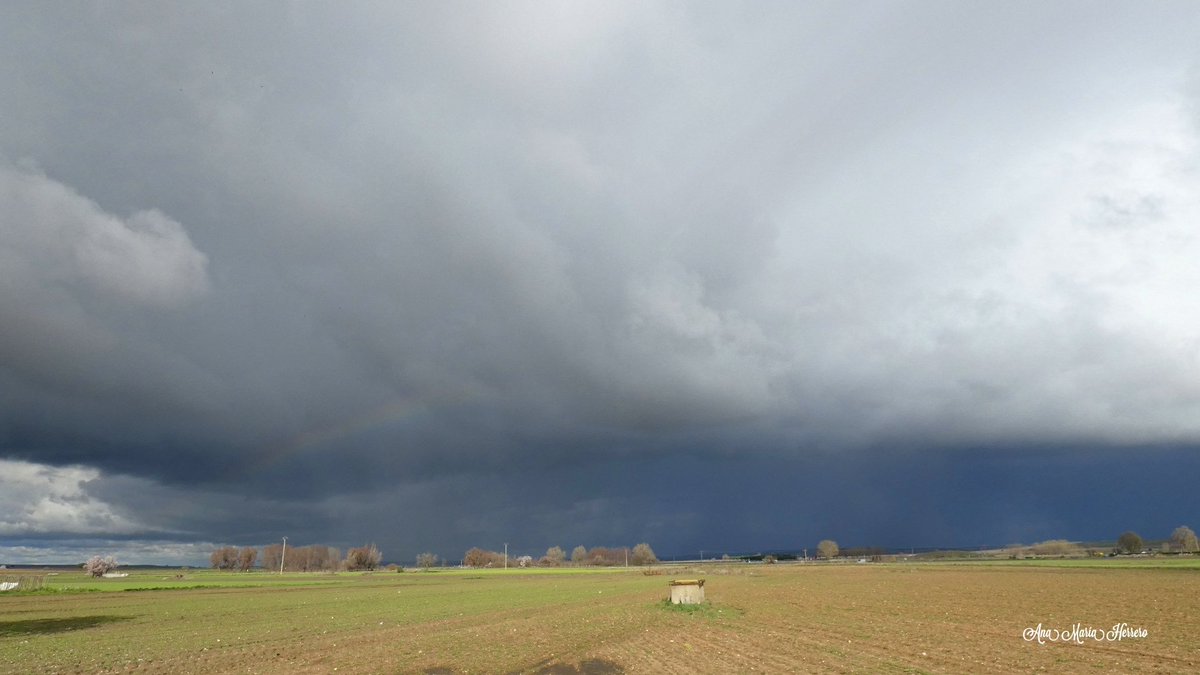 Ana María Herrero tweet media