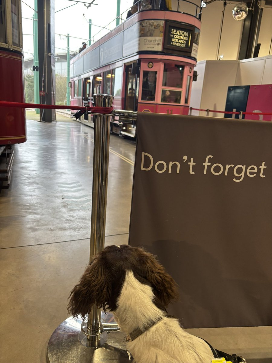 Dr Rachael Morris tweet media