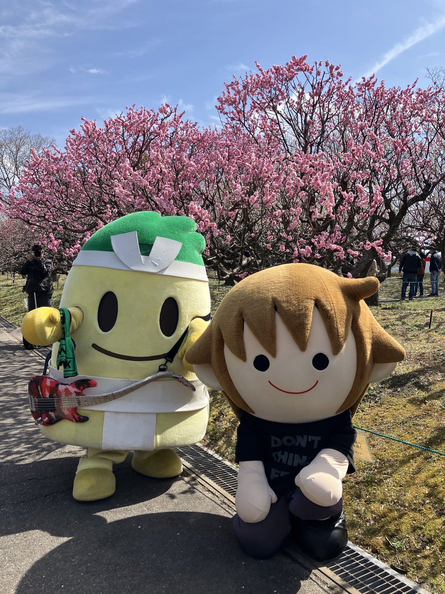 InappyStaff's tweet photo. いなざわ梅まつりへのお出掛け終了！

会場に来てくれた皆んな、ありがとネ

天気は良かったけど、寒かったから皆んなカゼを引かないように、今日は暖かくして寝てネ

次のタボくんバンドは、4/4のへいわさくらまつりだよ⭐︎よろしく〜 https://t.co/UXBnOX8PGI