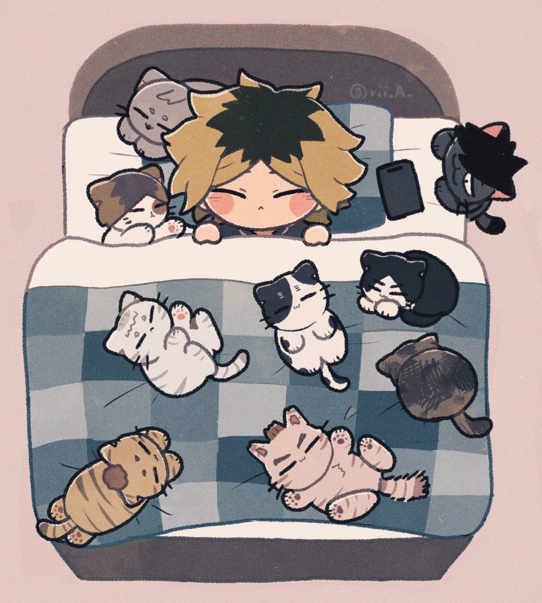 🐈💤