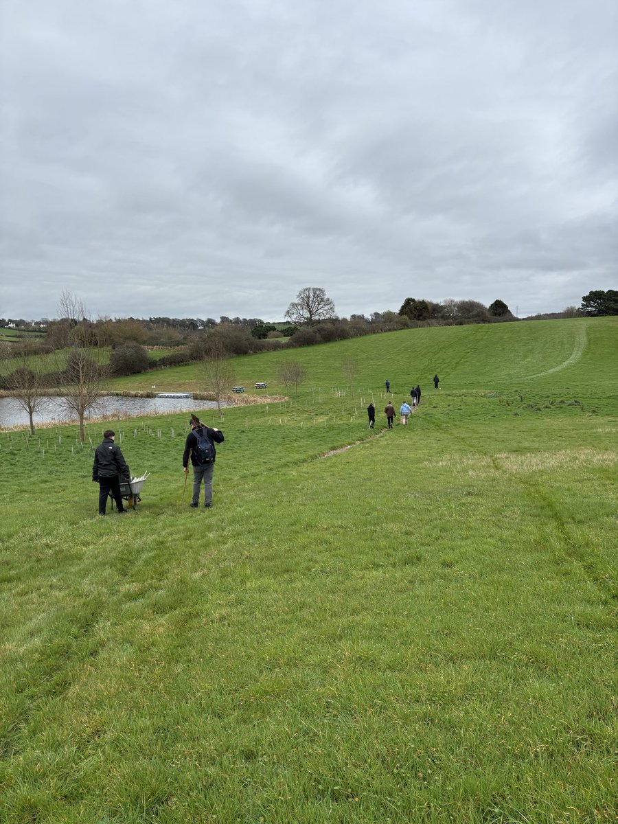 Somerset DofE tweet media
