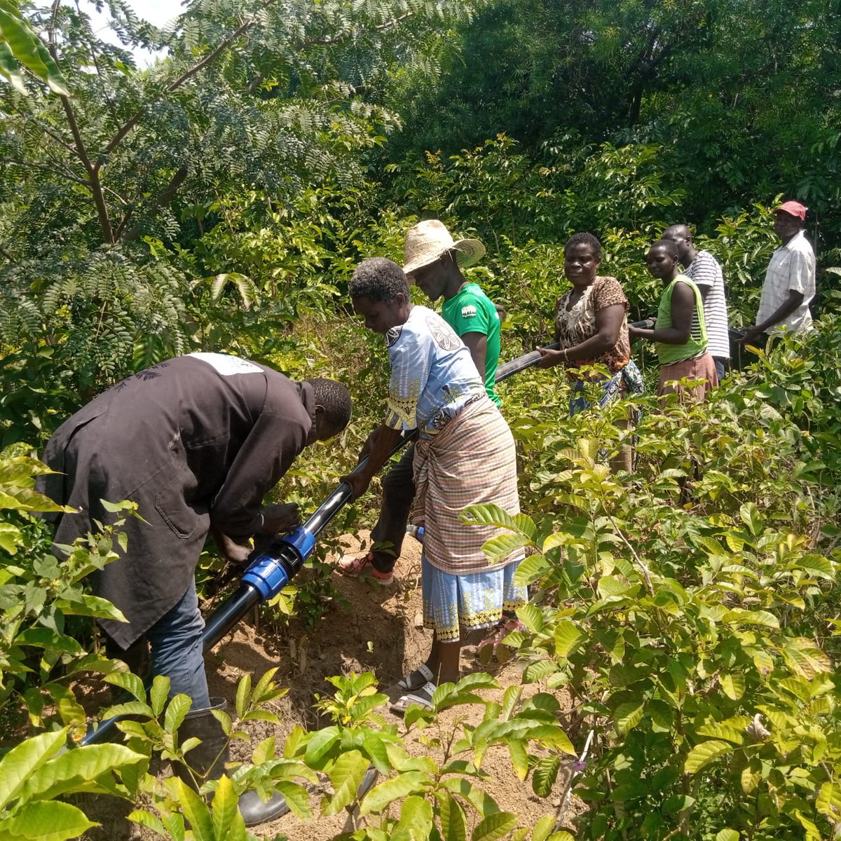 Kenya Water For Health Organization(KWAHO) tweet media