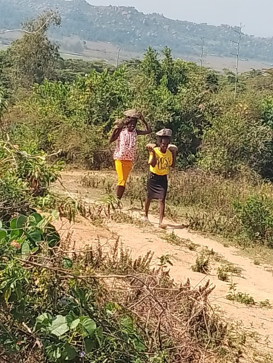 Kenya Water For Health Organization(KWAHO) tweet media