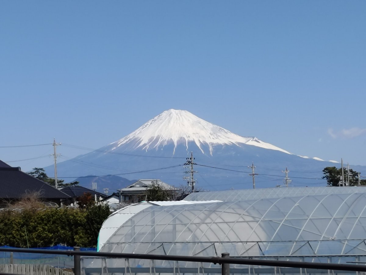 ajanii3's tweet photo. 今日は静岡マラソン。練習不足でどこまで走れるか心配でしたが、走りやすいコースで天気も良く、富士山や海が綺麗に見えた上に沿道の皆さんやボランティアの方々の応援のおかげで何とか走り切る事ができました。ありがとうございました。
静岡おでんやもつカレー、いちごなどのエイドも満喫しました。 https://t.co/nRaXufPxl7