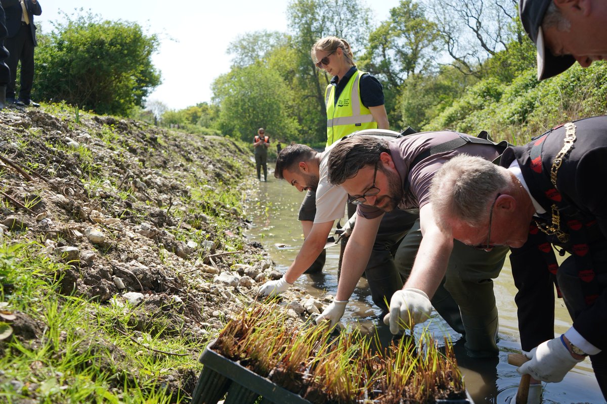 ThomasFTurrell's tweet photo. 85% of the world's chalk streams are in England - including the River Cray that runs through Bexley and Bromley. We really can't risk these irreplaceable habitats. 

We must do more to protect and enhance our rivers. https://t.co/1WiErIc5LT