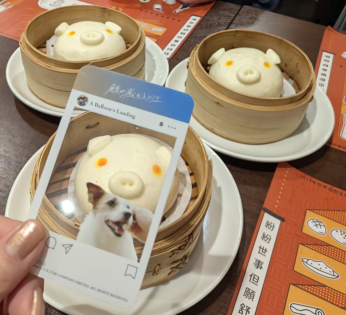miel88177733's tweet photo. 昨日は夜にお気に入りの #DimDimSum でFFさんと💚
野菜入り水晶蒸し餃子
絶品 海老入り揚げ腸粉
チャーシュー入り腸粉
洋梨子型揚げ餃子
香港風唐揚げ
香港カスタード饅
美味しいものをいただきながら一博さんや映画や仕事、お喋りが止まりませんでした😆💚
また近いうちにご一緒できますように🤗💚 https://t.co/Q9ZlnlBNfE