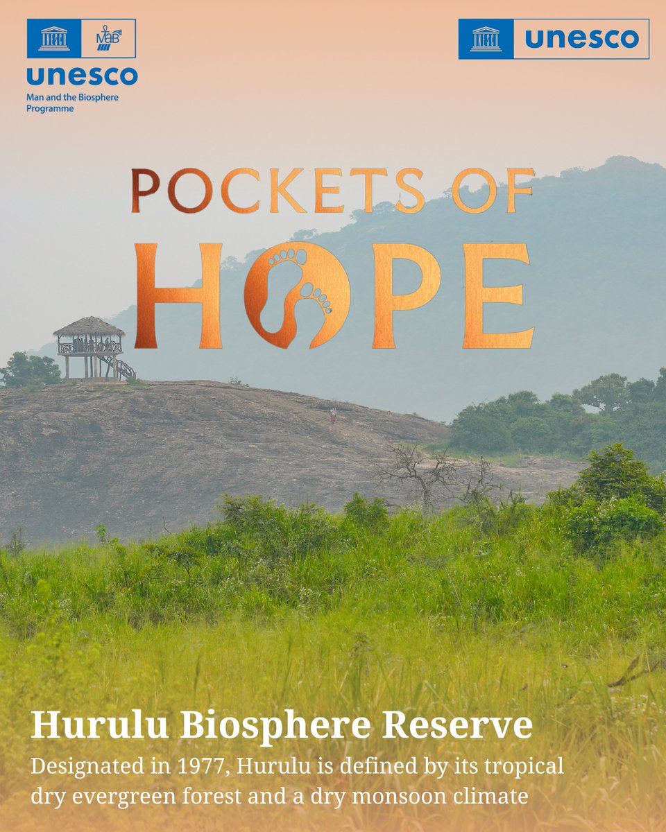 UNESCO South Asia 🏛 #Education #Sciences #Culture tweet media