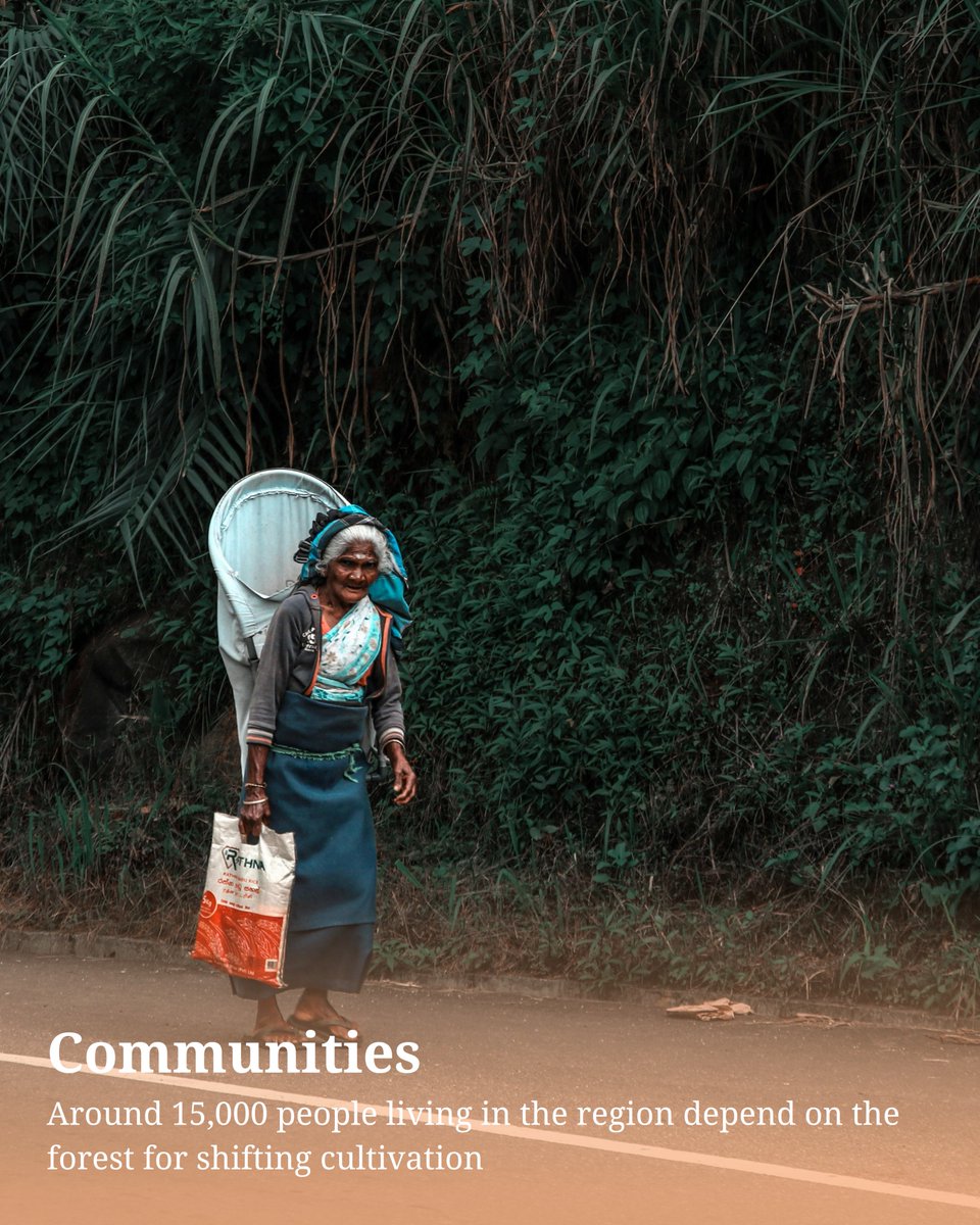 UNESCO South Asia 🏛 #Education #Sciences #Culture tweet media