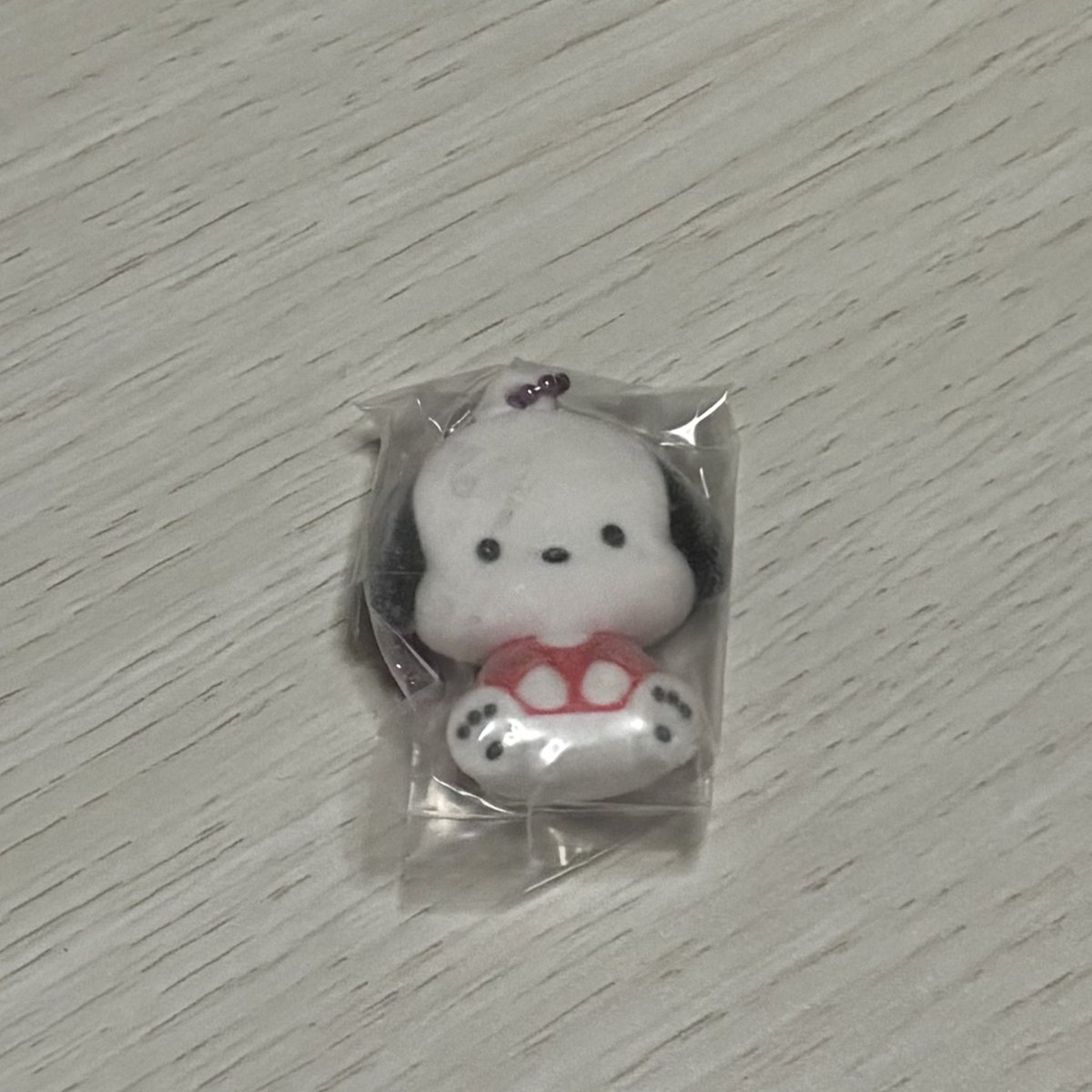 ksh_elvis_'s tweet photo. サンリオ ガチャ ふわわ フロッキー マスコット 交換

譲 ポチャッコ
求 ポムポムプリン

郵送希望です。よろしくお願いします! https://t.co/2BYGOXE8tk