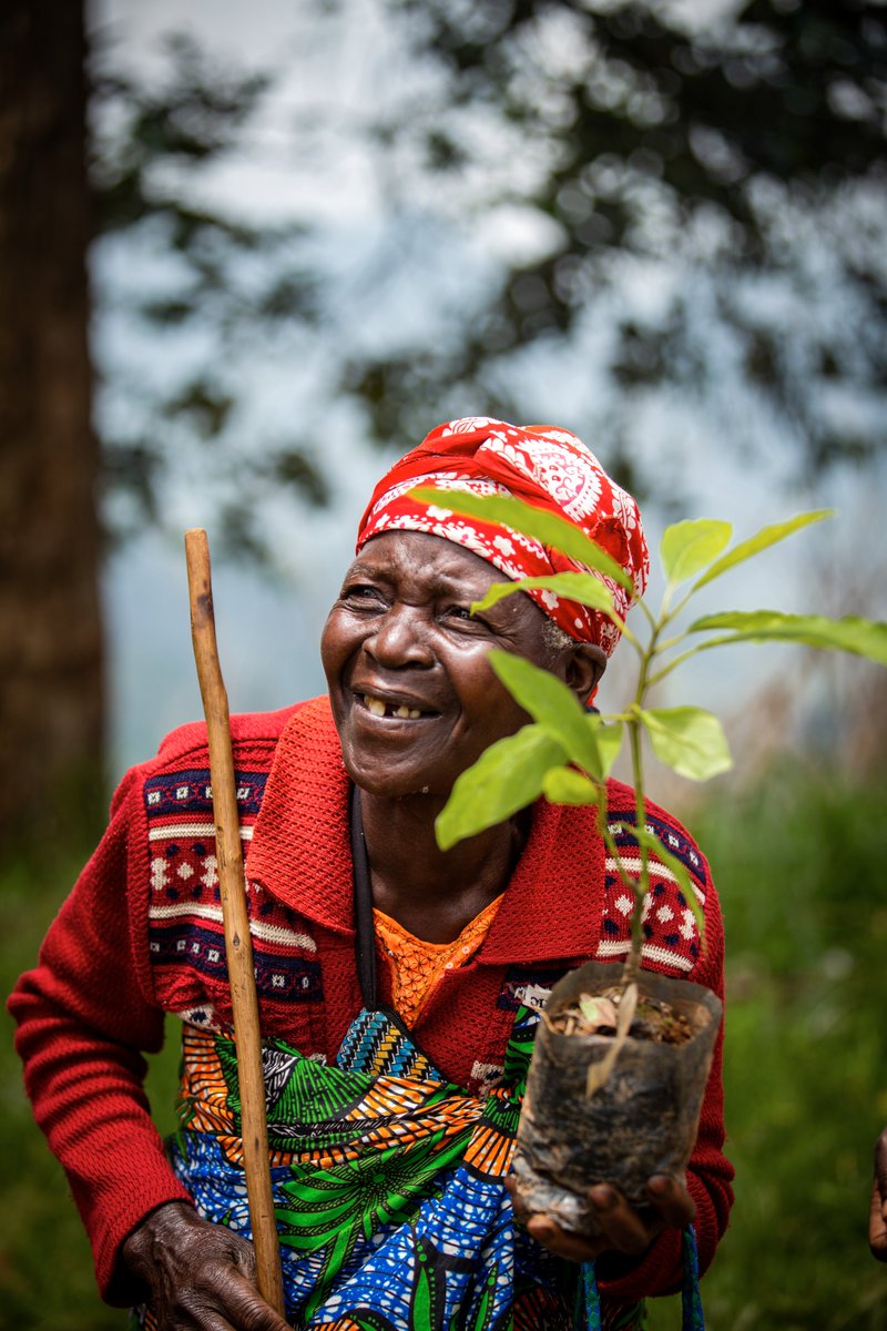 GASAROKristian's tweet photo. Behind every growing tree, there is often a woman nurturing life, resilience, and the future. Today we celebrate women leading climate impact across communities.
Happy International Women’s Day.
#InternationalWomensDay2026 #Ecoforest https://t.co/b85DkZscbq