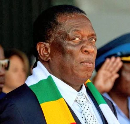 International Cables Network tweet media