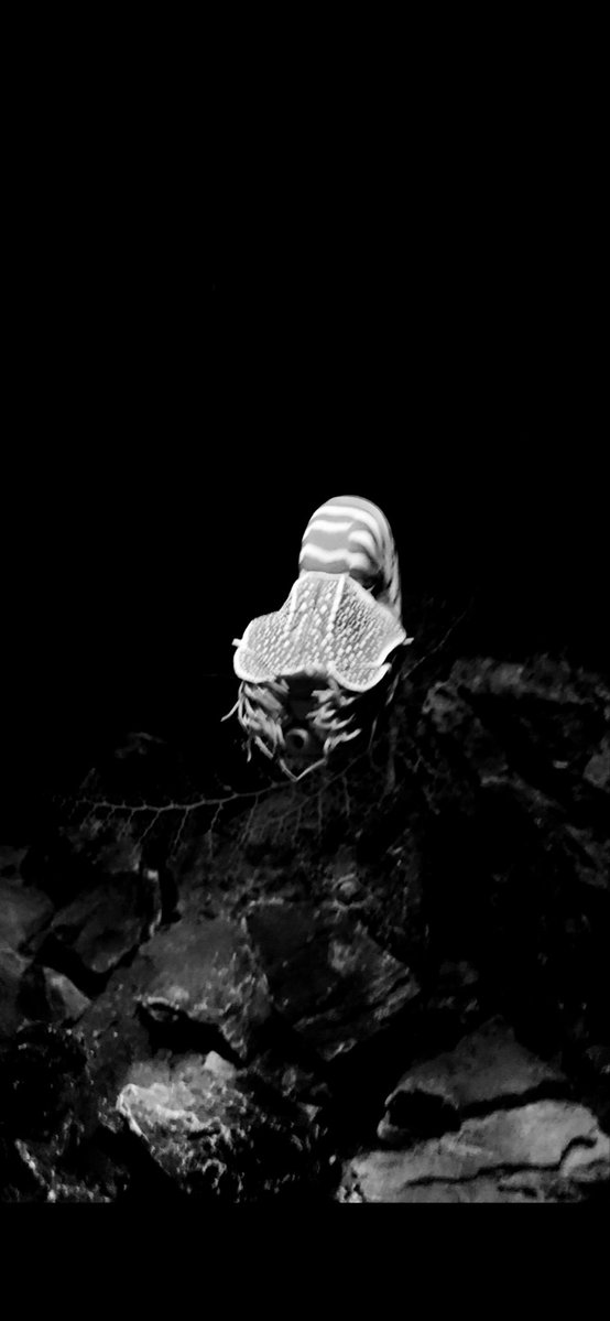 ヒデロウ tweet media