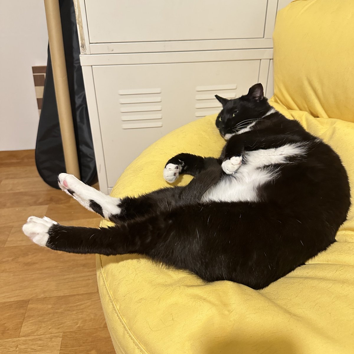 가족찾는 궁이🖤 tweet media