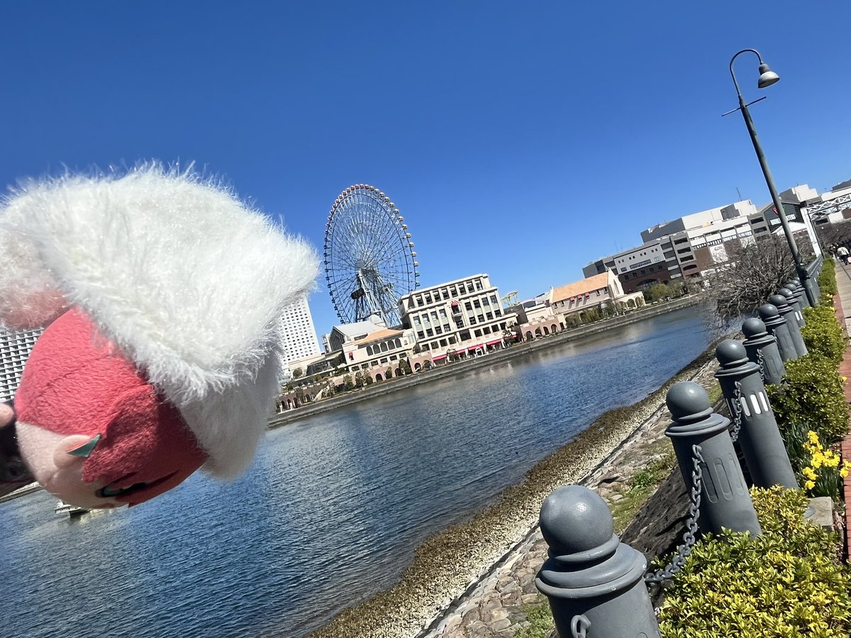 もど * tweet media